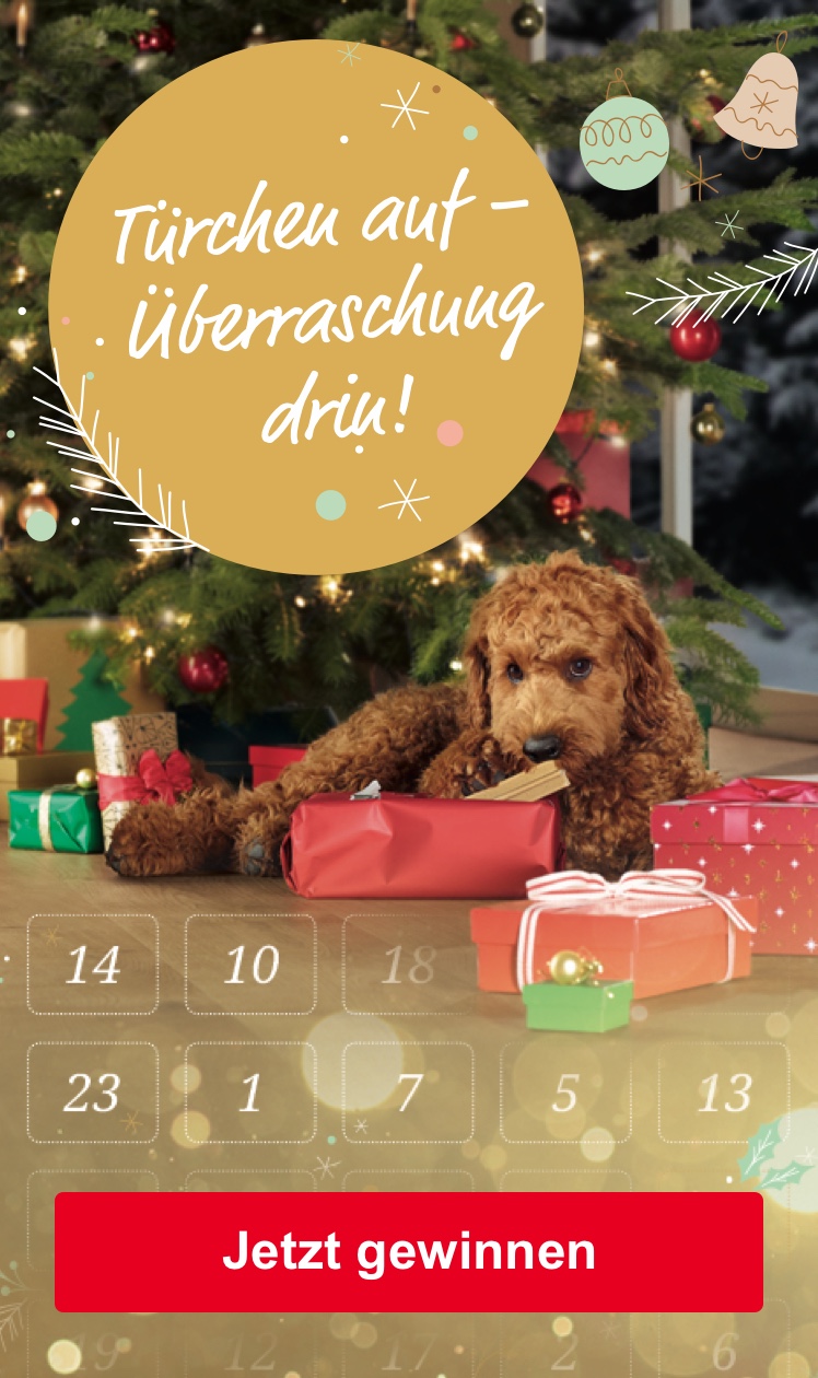 Advent, Advent... Jetzt gewinnen