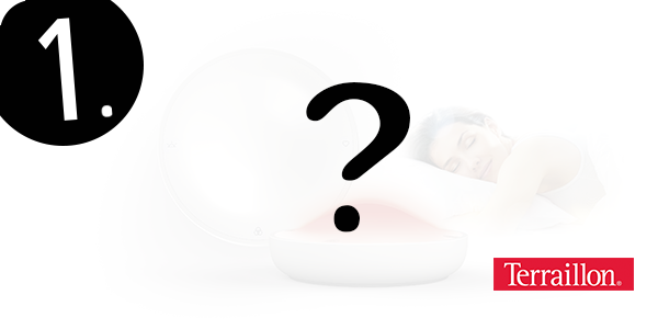 Dreamer von Terraillon