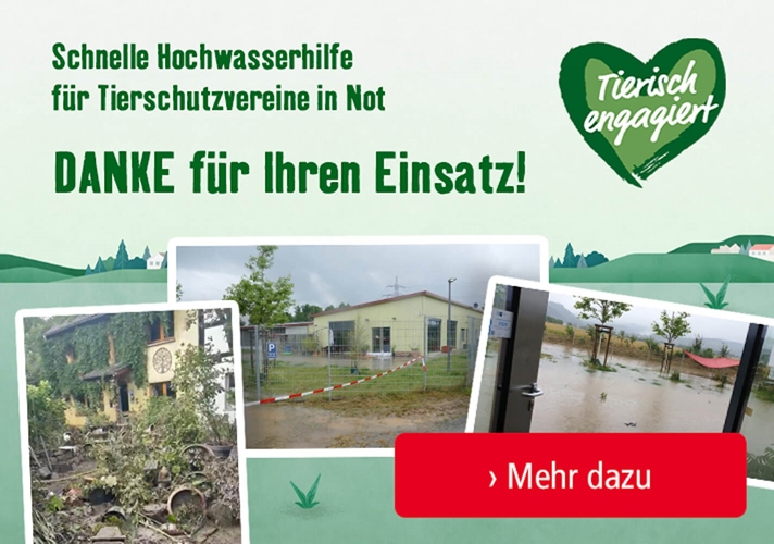 Hochwasserhilfe für Tierschutzvereine in Not