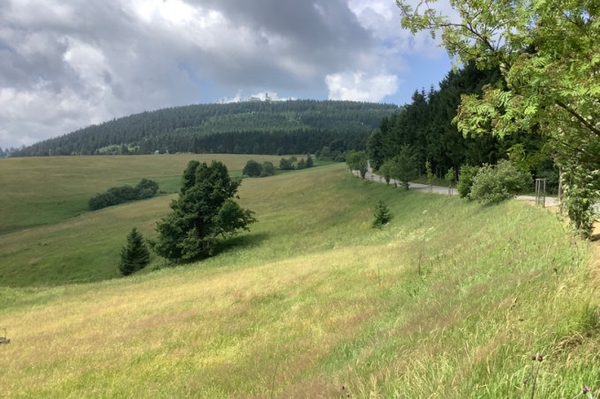Landratsamt Erzgebirgskreis denkt nicht an Naturschutz