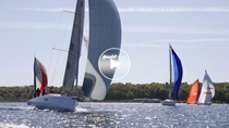 Die Schnellen der 11-Meter-Klasse: #1 Segelleistung