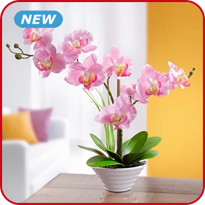 Künstliche Orchidee, rosa