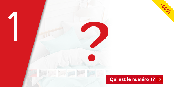 Duvetbezug «Mikro» 160 x 210 cm + Pfulmenbezug 65 x 100 cm, grün/silberfarben