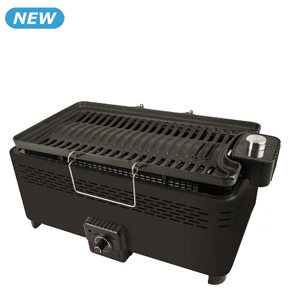 Grill «BBQ Fun 2-in-1»