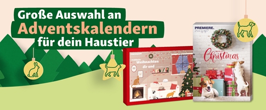 Sichere dir deinen Adventskalender