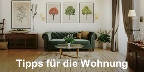 Wohnung auf- und umräumen