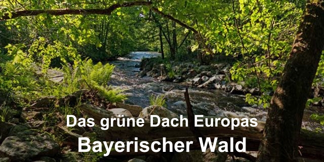 Bayerischer Wald - Das grüne Dach Europas
