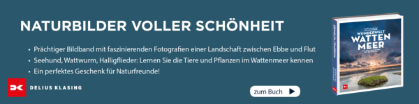 Wunderwelt Wattenmeer