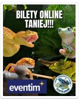 EXOTICARIUM Targi Terrarystyczne