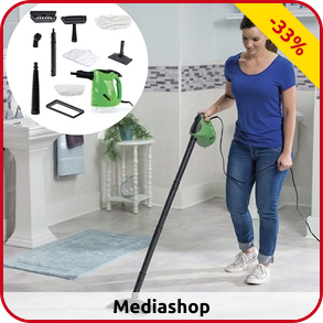 Dampfreiniger «H20 Steam FX Pro»
