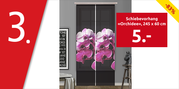 Schiebevorhang «Orchidee», 245 x 60 cm