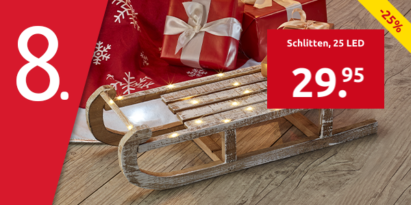 Schlitten, 25 LED