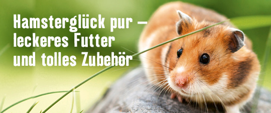 Alles für Ihren Hamster