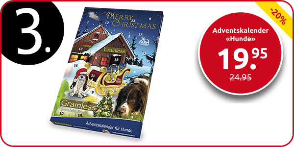 Adventskalender «Hunde»