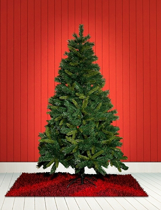 Tannenbaum mit 650 Zweigen, Höhe 180 cm