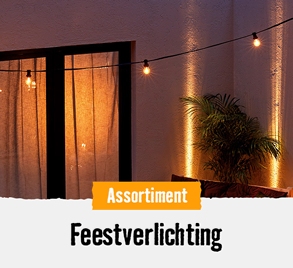 Feestverlichting | HORNBACH