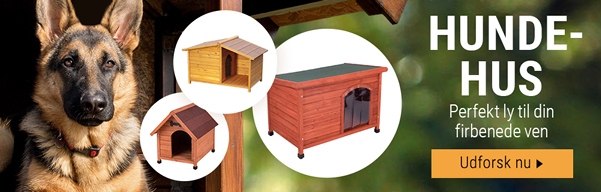 Hundehus