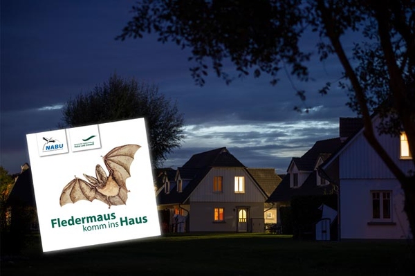 Fledermausplakette Aktion „Fledermaus komm ins Haus“ von LaNU und NABU Sachsen