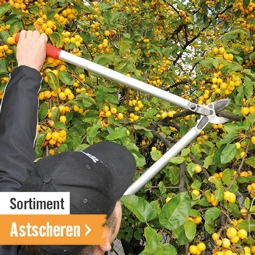 Sortiment Astscheren