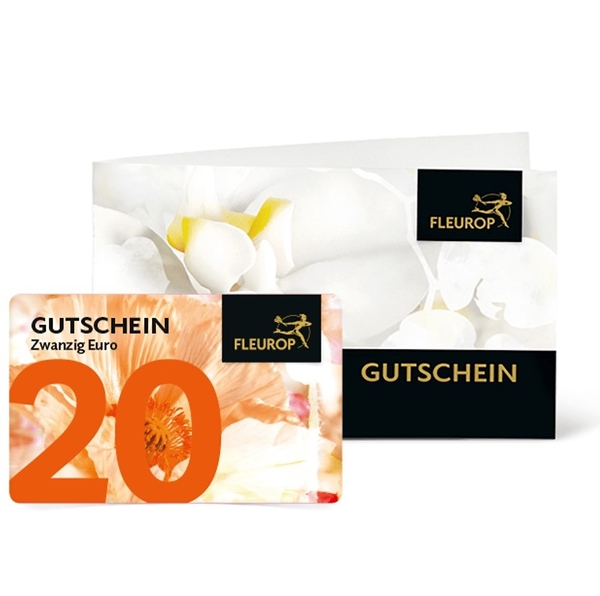 Gutschein 20 Euro
