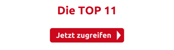 Die TOP 11