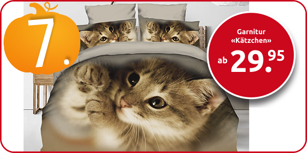 Garnitur «Kätzchen»