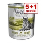 5 + 1 gratis! 6 x 800 g Wolf of Wilderness Senior Natvoer