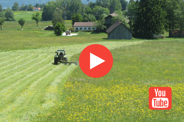 Zehn Jahre Projekt Gemeinsam Boden gut machen Initiativen für Streuobstwiesen gesucht