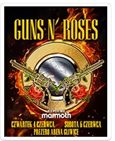 Guns n&rsquo; Roses