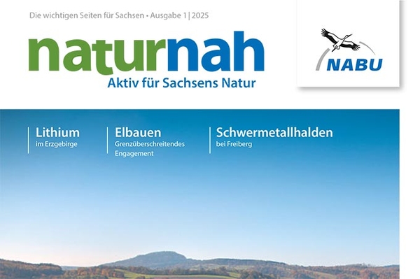 NABU-Magazin naturnah Ausgabe 1/2025 erschienen