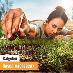 HORNBACH Ratgeber Rasen nachsäen