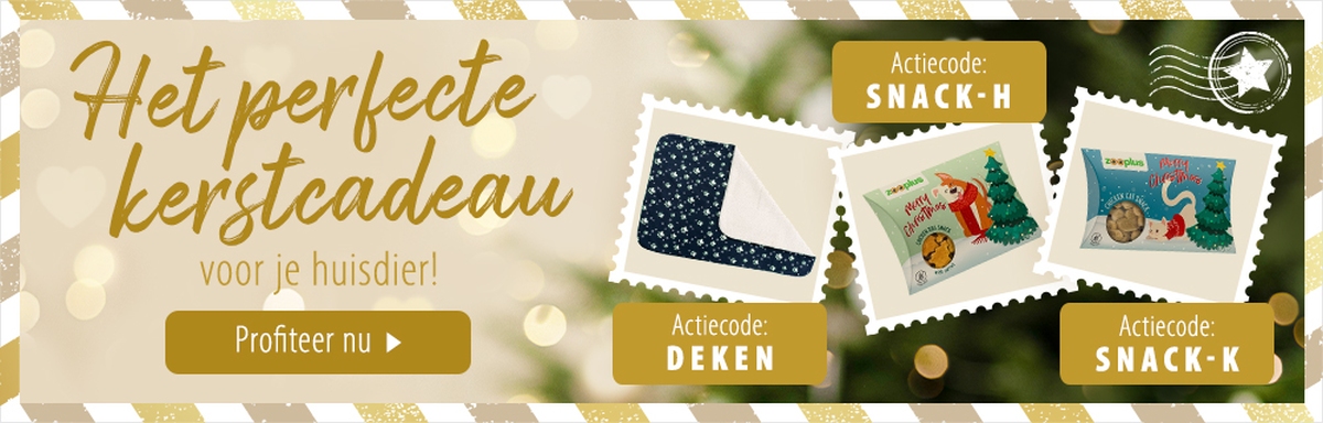 Het perfecte kerstcadeau voor je huisdier!