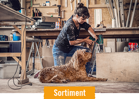 HORNBACH Sortiment für Hunde