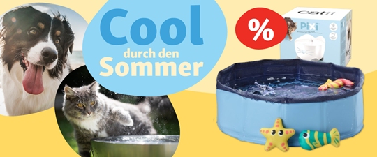 Cool durch den Sommer