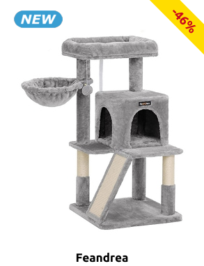 Feandrea Katzenbaum «Coco»