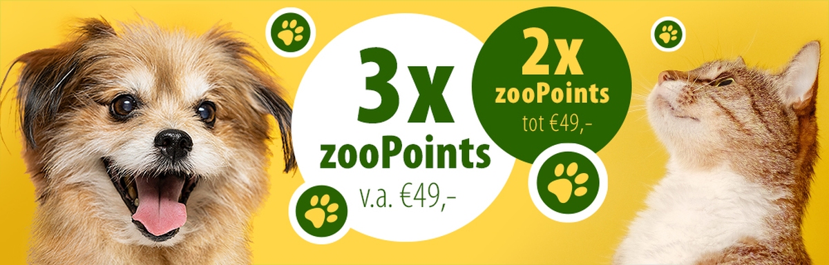 zooPoints!