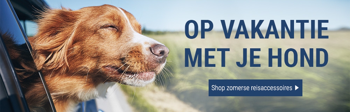 Ga voorbereid met je hond op vakantie!