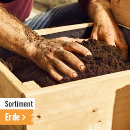 Erde im HORNBACH Onlineshop