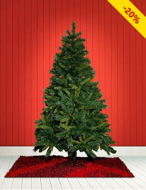Tannenbaum mit 650 Zweigen, Höhe 180 cm