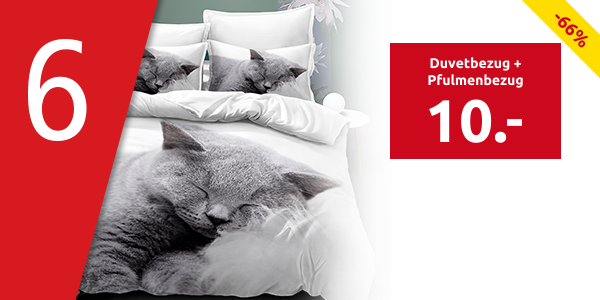 Duvetbezug «Cat» 160 x 210 cm + Pfulmenbezug 65 x 100 cm