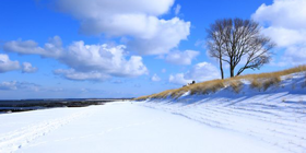 Ostsee - Einsamkeit, Wellness & Yoga
