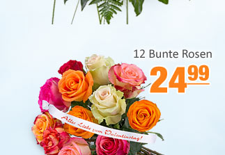 Blumenstrau&szlig; 12 bunte Rosen