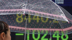 Japanische Verhältnisse