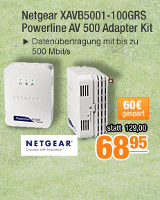 Netgear XAVB5001-100GRS
                                          Powerline AV 500 Adapter Kit