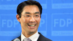 FDP-Chef fordert Ehegatten-Splitting für homosexuelle Paare