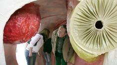 Prostata-Krebspatienten oft zu früh operiert