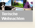 Tierische Weihnachten - seit 22.12.2011 