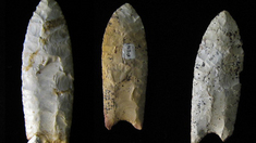 Auf dem Packeis über den Atlantik