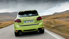 Melange aus Bohne, Biene und Banane