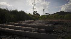 Brasilien auf dem Weg zum Industrieland